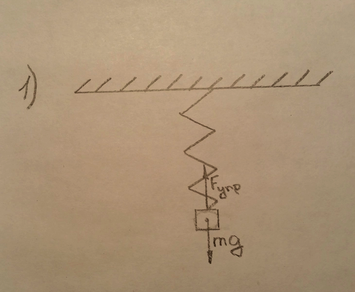 Грузик подвешенный на пружине. Силы действующие на подвешанный шар. Изобразите силы действующие на шарик подвешенный на пружине. Силы действующие на шарик подвешенный на нити. Изобразите силы действующие на шар подвешенный на пружине.
